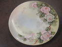 Handpainted Floral Plate - Bavaria