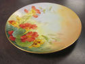 Handpainted Floral Plate - Czecho Slowakia "Sherra