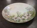 Handpainted Floral Plate - Austria