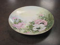 Handpainted Floral Plate - Bavaria