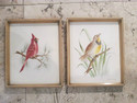 Beautiful set of Six Framed Painted Tiles - Songbi