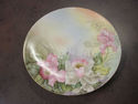 Handpainted Floral Plate - Bavaria