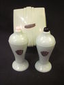 Carvanite Salt & Pepper Shakers - Souvenir of New 