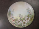 Handpainted Floral Plate - Austria