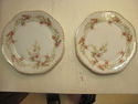 Antique pair of Porcelain Rose Plates - Bavaria