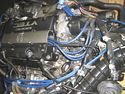 jdm prelude H22A OBD 2 motor swap 1997-2001 