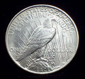 1922 P CHOICE CH GEM BU SILVER PEACE DOLLAR PROOFL