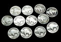 12 BUFFALO INDIAN HEAD NICKELS 1913 -1938 NO DATES