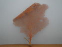 Click here to view item details