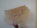 Click here to view item details