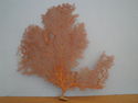Click here to view item details