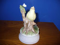 Yellow Bird with Music Box '"Close To You"