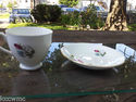 Elizabethan #9 Taylor and Kent Fine Bone China Tea