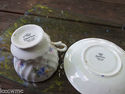 Queen Anne Tea Cup and Saucer Bone China England 4