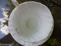 Queen Anne Tea Cup and Saucer Bone China England 4