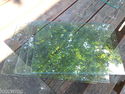 101/2" x 16" x 3/8" Glass Sheet-Used