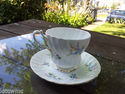 Queen Anne Tea Cup and Saucer Bone China England 4