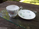 Queen Anne Tea Cup and Saucer Bone China England 4