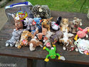 Lot of 19 Ty Beanies-Buddies,Babies,Teenie Beenie 