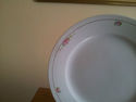 Noritake China Handpainted Plate with Roses from J