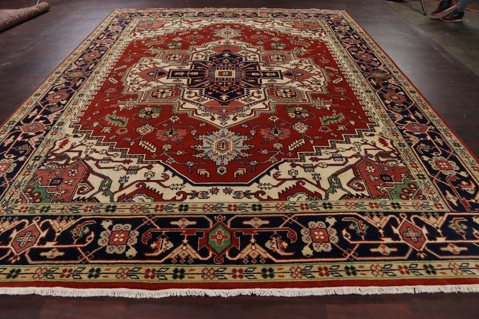 Navy Oriental Rug In Living Room