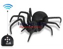 4 Channel Remote Control Black Widow Toy (Black) 