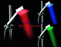 Temperature Sensor Color Changing LED Shower (Silv