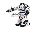 Cool and Wisdom Remote Control Roboactor Robot (Wh