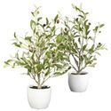 18 Inch Olive Silk Tree w/Vase (Set of 2)