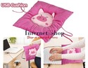 Lovely Pig USB Heated Cushion 