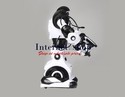 Delicate Intellectual Remote Control Robot Toy (Wh