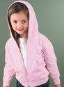 Toddler Zipper Hoodie - 3 Pack