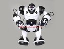 Delicate Intellectual Remote Control Robot Toy (Wh