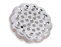 Petal Shaped 31-LED White Remote Control LED Light