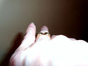 TIFFANY & Co. Peretti 18K Gold .50 ct Diamond Bow 