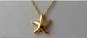 TIFFANY Co Peretti 18K Solid Gold Starfish Pendant