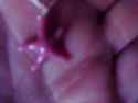 TIFFANY & Co. Peretti Rhodonite Starfish Pendant S