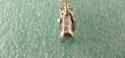 TIFFANY & Co. VERY RARE VTG Movable Mini Bear Pend