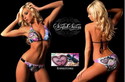 To add this item in your Shopping Cart drag and drop this picture there