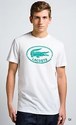 To add this item in your Shopping Cart drag and drop this picture there