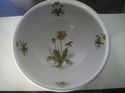 Beautiful Portmeirion Pottery Primula Officionalis