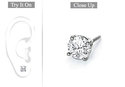 To add this item in your Shopping Cart drag and drop this picture there