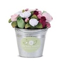 To add this item in your Shopping Cart drag and drop this picture there