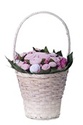 To add this item in your Shopping Cart drag and drop this picture there