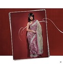  Indian Pink Green Net Saree Beautiful Net Thread 