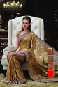 Indian Grace Of Glamour Designer Saree Collections