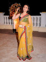 Rani Mukherji Embroidered Net Saree Katansilk Blou