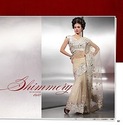 Bollywood White Shimmering Saree Thread Sequins Wo