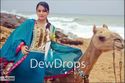 Pakistani Designer DewDrops Blue Banarasi Outfit M