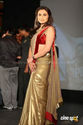 Indian Bollywood Collection Rani Gold Red Velvet S